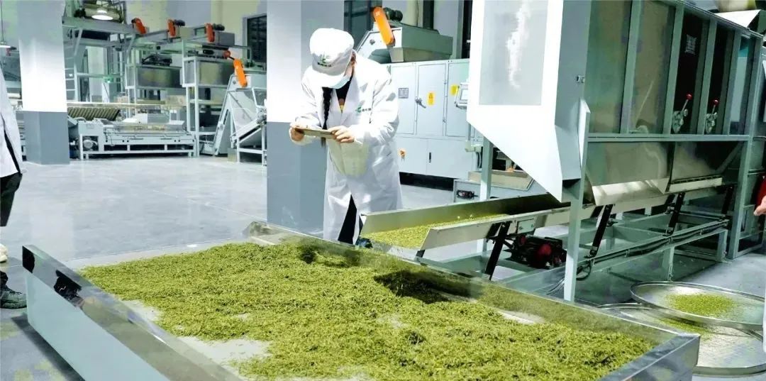 1687739909266556.jpg 微信圖片_20230626083815.jpg